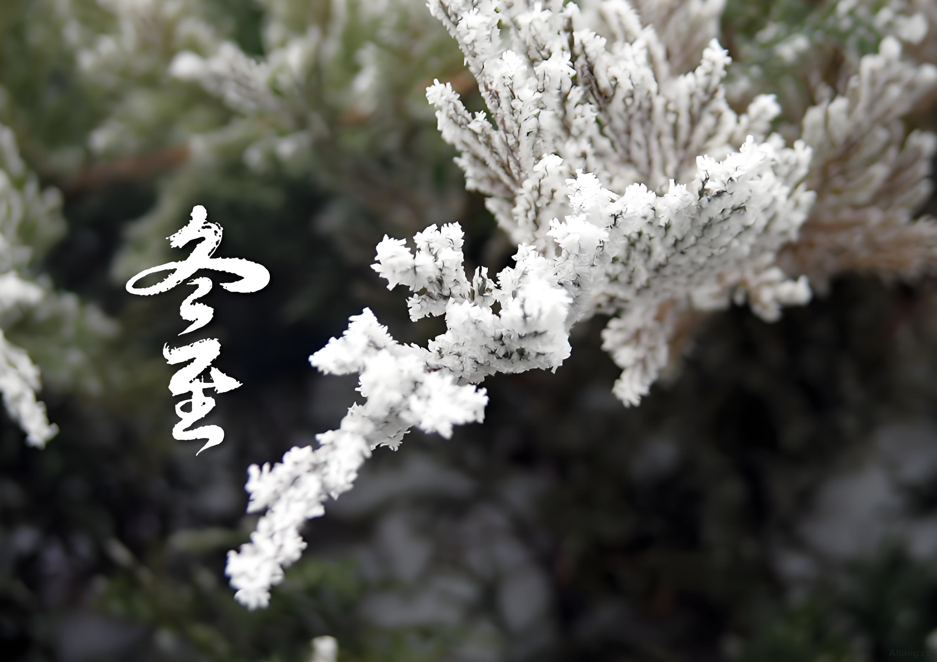 冬至，北半球迎来了一年中白昼最短、黑夜最长的时光